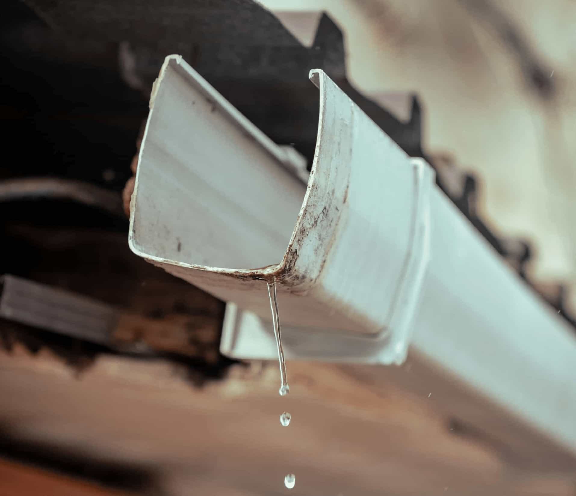 Gutter repair planning with visible gutter and roofline detail